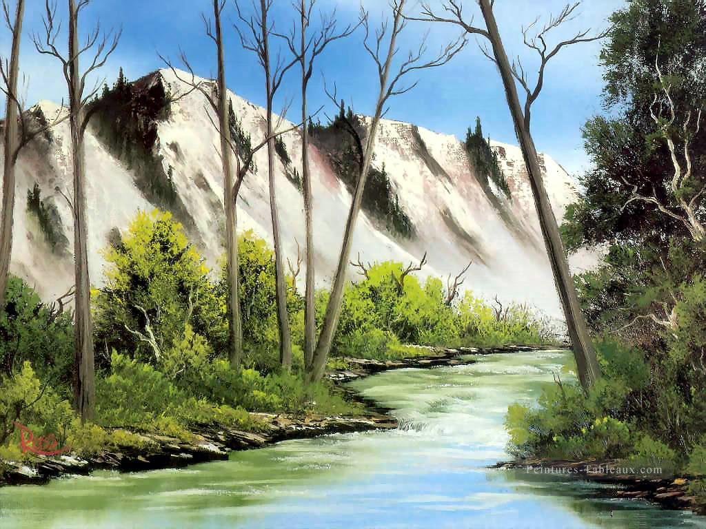 arizona splendor Bob Ross freehand paysages Peintures à l'huile